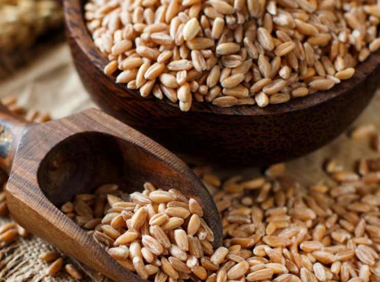 Insalata di farro con pomodori