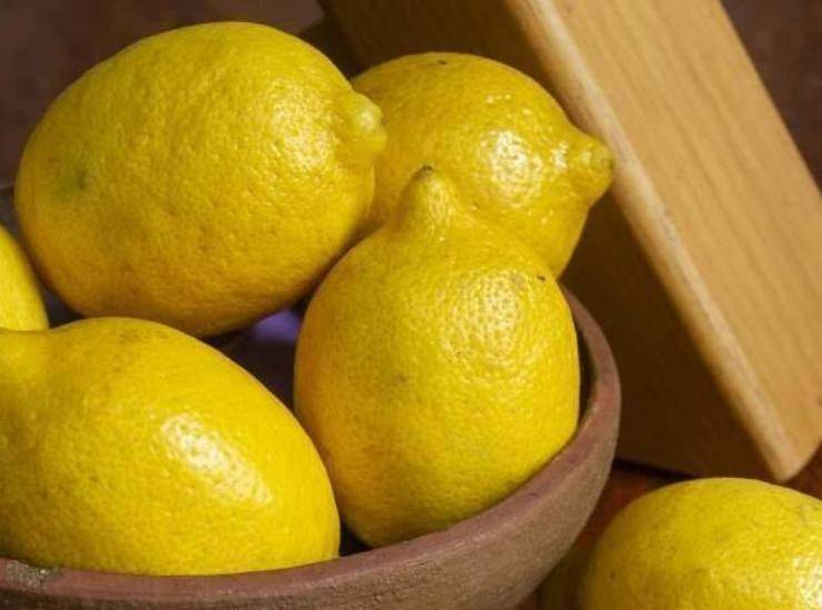 Sorbetto al limone come questo del ristorante, facilissimo da realizzare. Foto di Ricetta Sprint