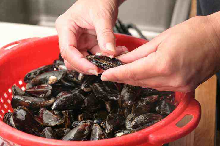 Spaghetti cozze e vongole