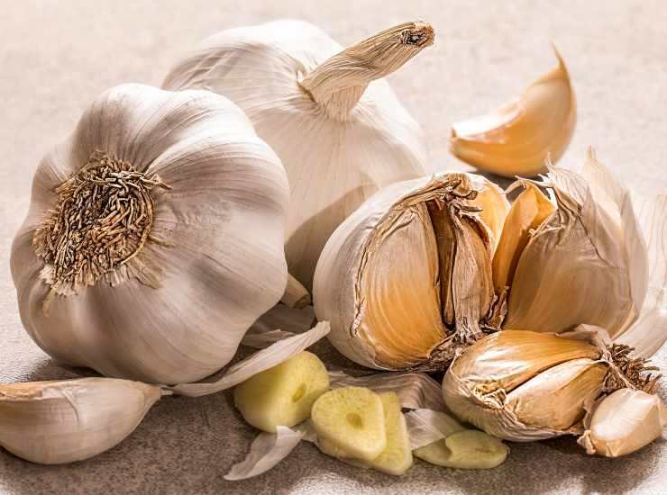 Teglia di melanzane alla pizzaiola. Foto di Ricetta Sprint