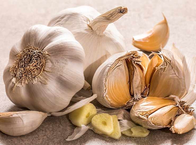 Orecchiette fredde buone, leggere e pronte in 10 minuti. Foto di Ricetta Sprint