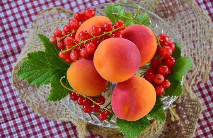 Ciambella con frutta frullata e noci 