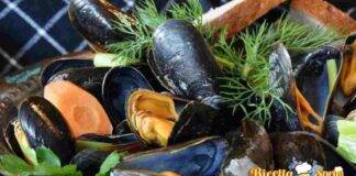 quali cozze comprare pescheria supermercato