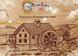 Mulino Bianco merendina - RicettaSprint
