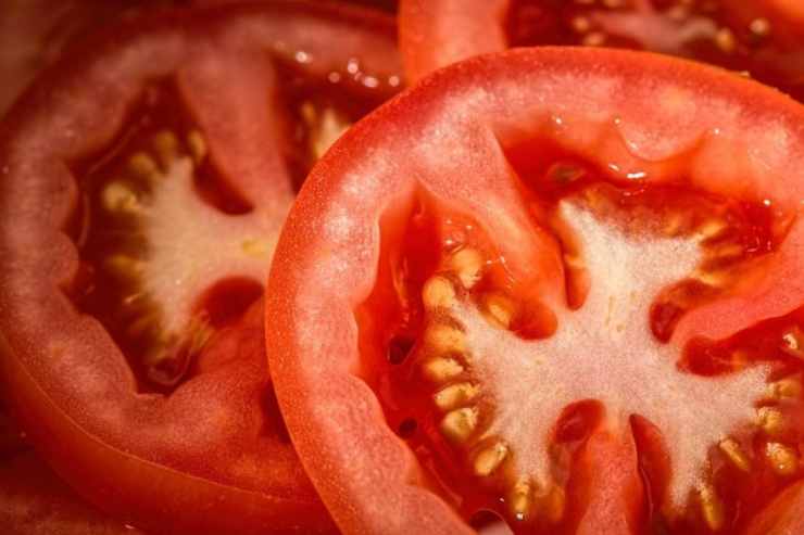 Pasta pomodori e crostini