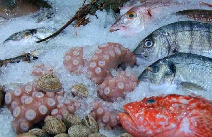 Pesce e molluschi in vendita in pescheria