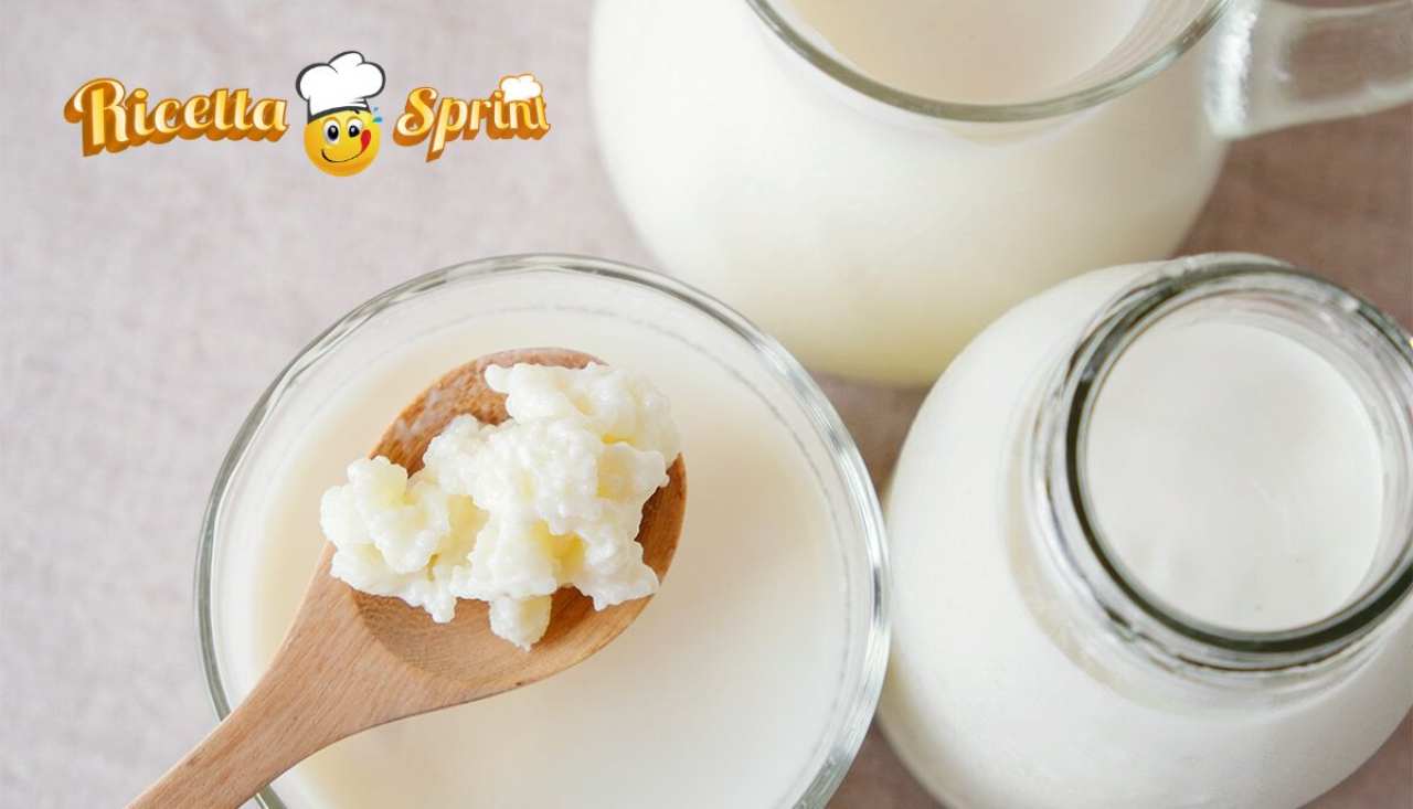 Yogurt kefir differenza - RicettaSprint