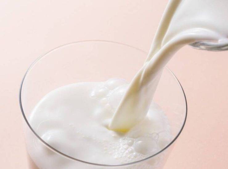Come fare il gelato al fior di latte in casa. Foto di Ricetta Sprint