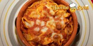 pasta al forno con besciamella e sugo