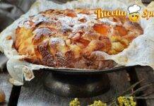 Torta nuvola alle albicocche, soffice e dolcissima per gustare un dessert leggero dessert soffice all'albicocca