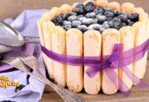 Charlotte ai mirtilli: dessert di gran effetto scenografico, per un’occasione speciale Charlotte ai mirtilli dessert di gran effetto scenografico, per un'occasione speciale