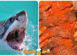 Cucina uno squalo bianco food blogger carcera - RicettaSprint