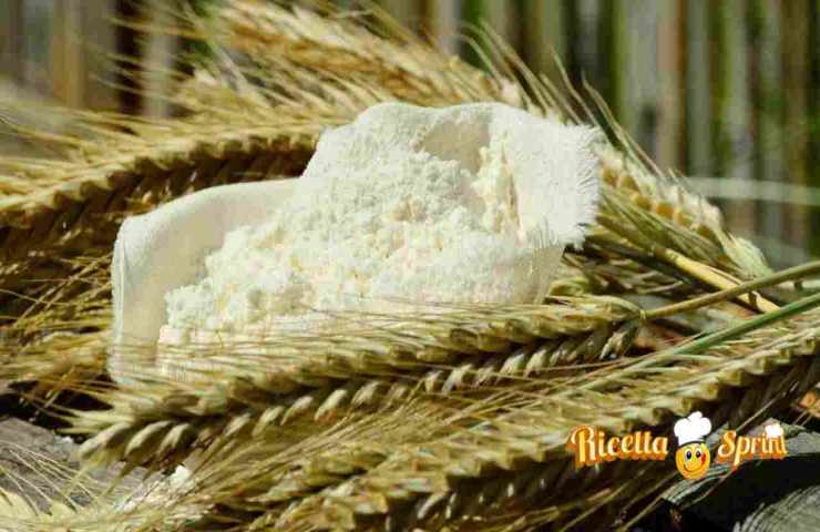Della farina di grano