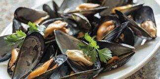 Sauté di cozze per ferragosto la ricetta facile pronta in 10 minuti