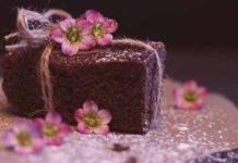 Torta light al cacao