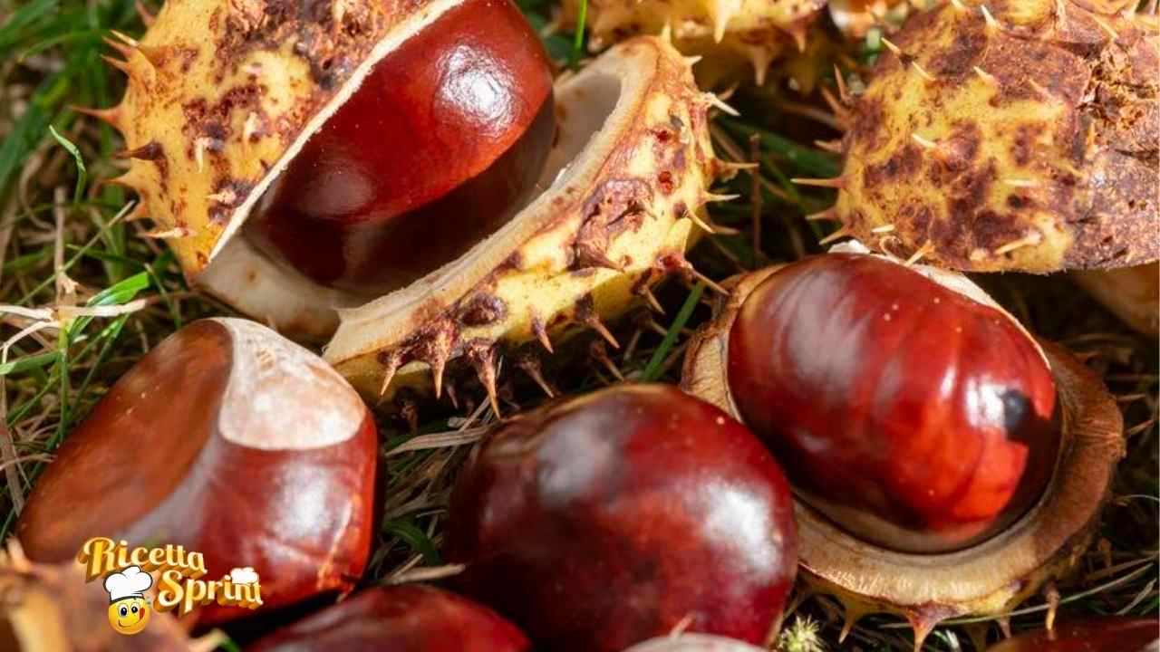 Castagne matte attenzione avvelenamento - RicettaSprint