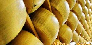 come riconoscere il vero parmigiano reggiano dop metodi colore sapore
