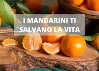 mandarini proprietà perché sono utili vitamina c