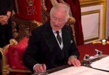 Re Carlo cestino del pranzo - RicettaSprint