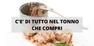 tonno in scatola benefici proprietà cosa contiene fa male
