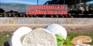 come conservare la mozzarella di bufala no frigorifero