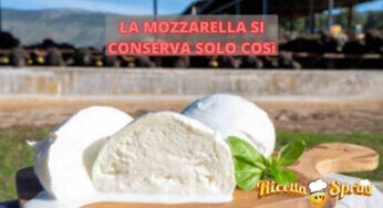 Come conservare la mozzarella di bufala, non commettere questo errore