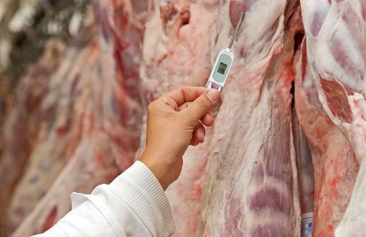 Analisi su della carne in un mattatoio