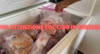 Cibi surgelati e congelati | come vanno conservati e cucinati
