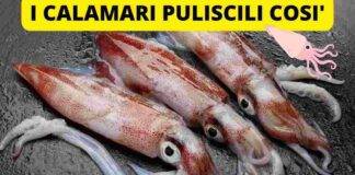 come pulire i calamari piccoli surgelati per la frittura