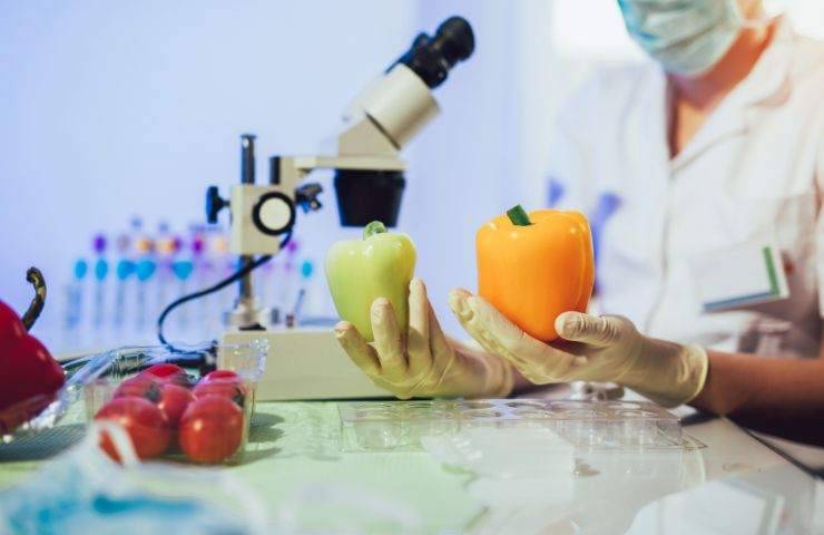 Dei test su frutta e verdura in laboratorio