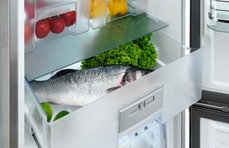 Del pesce in frigorifero 