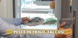 pesce fresco frigo come conservarlo