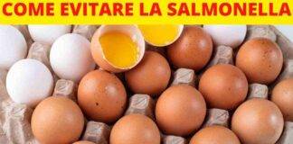 uova crude salmonella fanno male come conservarle