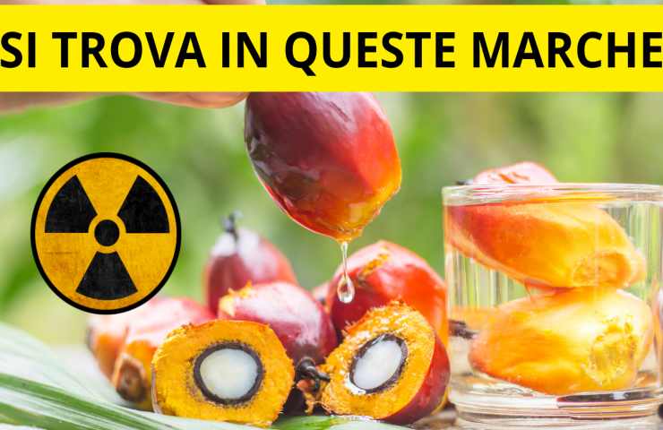 Estrazione dell'olio dai frutti delle palme