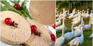 Foie graa vegano - RicettaSprint