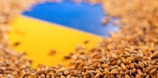 Grano proveniente dall'Ucraina - RicettaSprint
