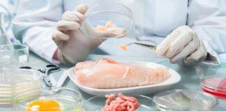 Listeria allarme vittime - RicettaSprint