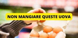 salmonella nelle uova richiamo alimentare urgente oggi