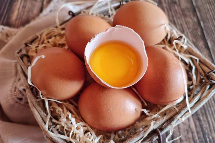 Health Alert Eggs - ReceptSprint