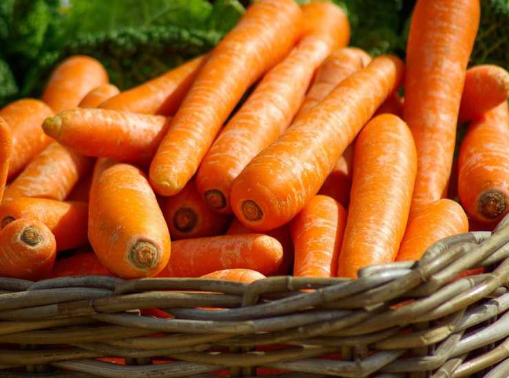 Vellutata di carote senza patate 
