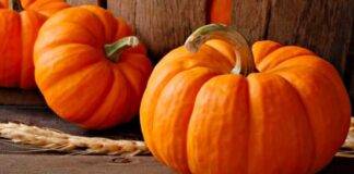 Zucca non buttare via i semi - RicettaSprint