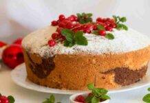 Ciambella variegata al cacao senza uova light, gustosa e super soffice