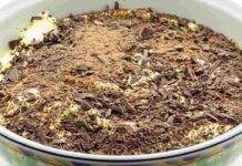 Crema al mascarpone e stracciatella: impossibile resistere alla tentazione di affondarci un cucchiaino