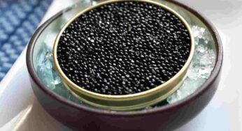 Caviale prezzo e come mangiarlo, così lo gusterai al meglio
