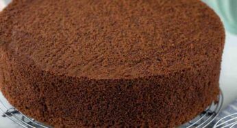 Pan di Spagna al cioccolato: la base perfetta per i miei dolci di Natale!