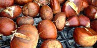 come mangiare le castagne ricette prezzo