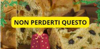tipi di panettone i migliori 2022
