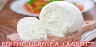 mozzarella di bufala calorie come mangiarla proprietà