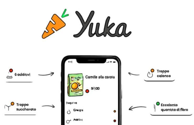 Una schermata riassuntiva di Yuka
