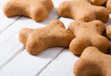 Biscotti per cani: pronti in pochissimi minuti, farai felice il tuo ciucciolo di casa! Biscotti per cani: pronti in pochissimi minuti, farai felice il tuo ciucciolo di casa!